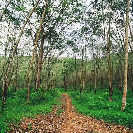 Haus Deimel Winterberg